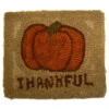 Beginner Rug Hooking Kit - Thankful Pumpkin