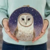 Painting With Wool Needle Felting Kit - Dani Ives' Barn Owl
