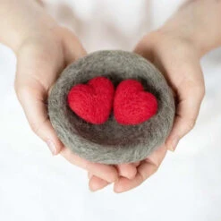 Sculpting With Wool Needle Felting Kit - Love Nest