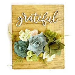 Felt Flower Craft Kit - Succulent -Alexandra Sales Store HGH 004e 33087.1674488292