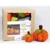 Kromski Needle Felting Kit - Pumpkin