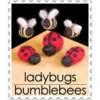 WoolPets Needle Felting Kit - Ladybug And Bees