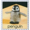WoolPets Needle Felting Kit - Penguin