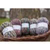 Signature 4-Ply Country Birds Sock Yarn